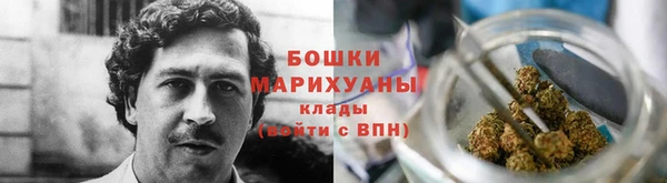 ПСИЛОЦИБИНОВЫЕ ГРИБЫ Ладушкин